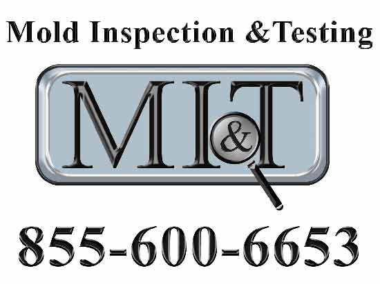 Industrial Mold Remediation Services in CA, NV, AZ & WA