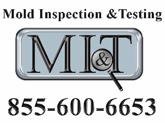 Mold Inspection Test