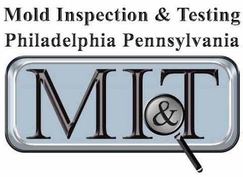 Mold Inspection & Testing Philadelphia