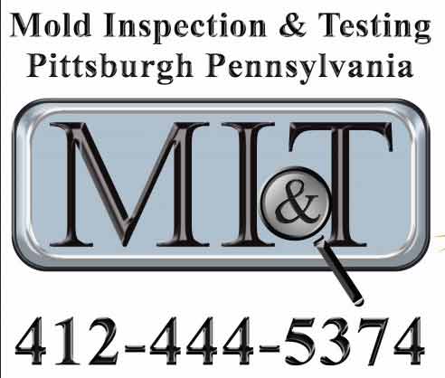PA Mold Testing, Pennslyvania Mold Inspections, PA Mold Testing