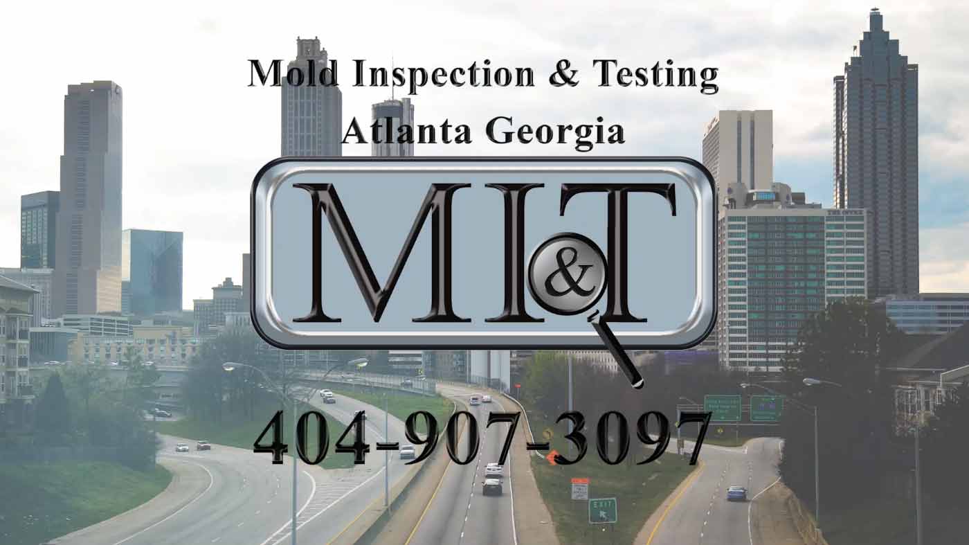 Mold Test Company - From $27 - Atlanta