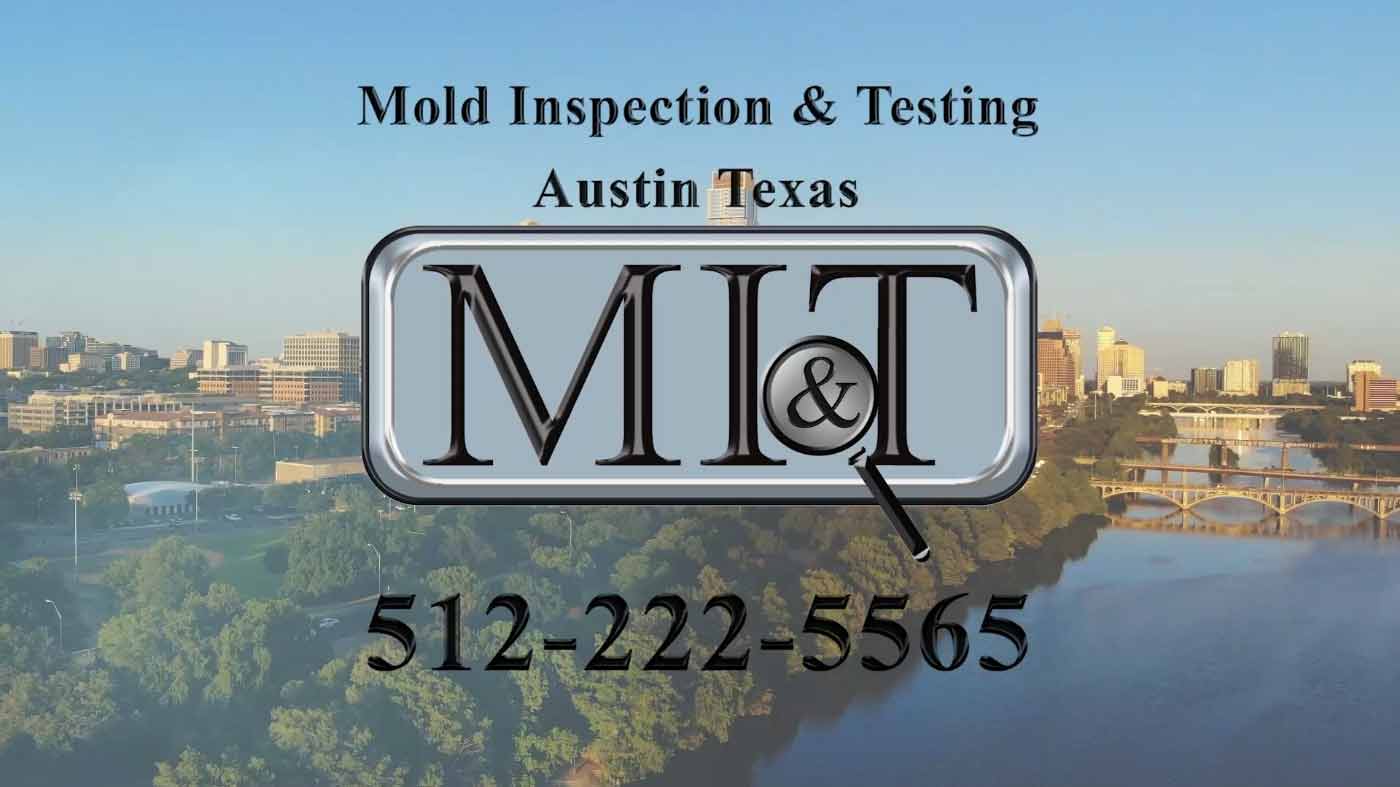 Mold Inspection & Testing Austin Texas