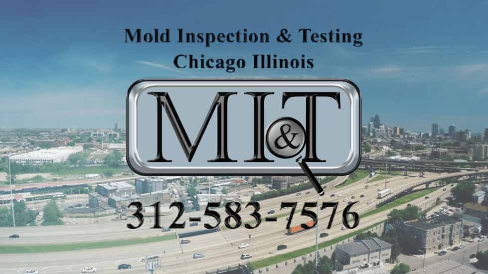 Residential Mold Remediation and Mold Cleanup Services in Chicagoland