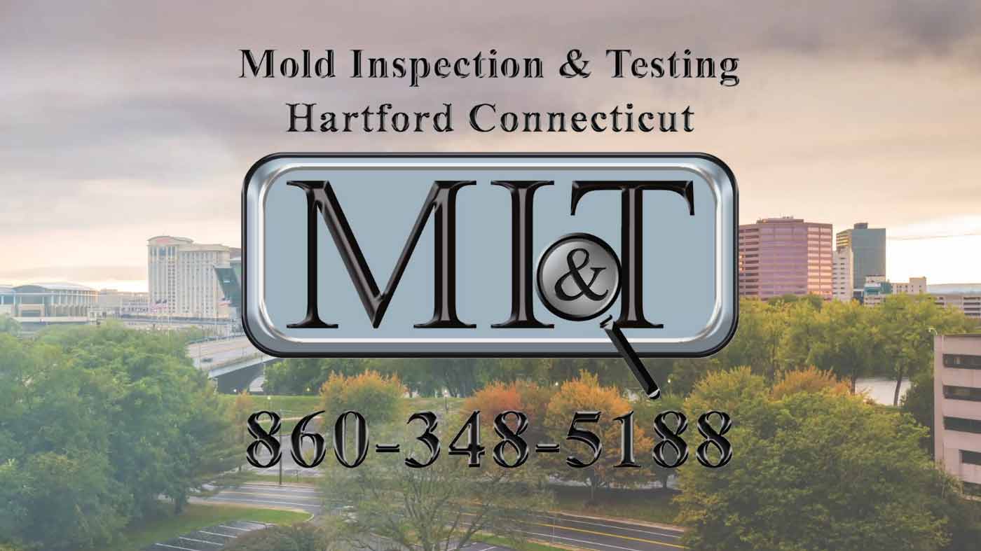 Mold Testing Services, Connecticut