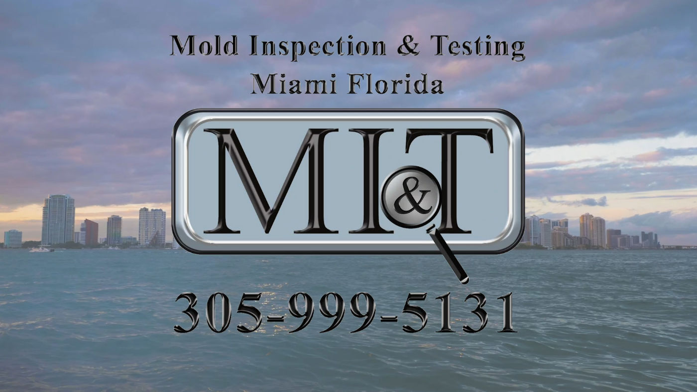 The Colors Of Food Mold - Mold Inspectors of Florida