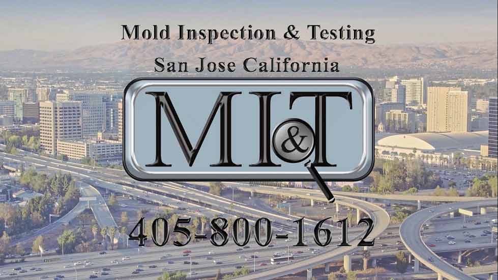 Black Mold Testing & Inspection, San Jose, CA