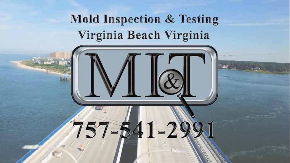 Mold Testing Virginia Beach, VA: Your Complete Guide