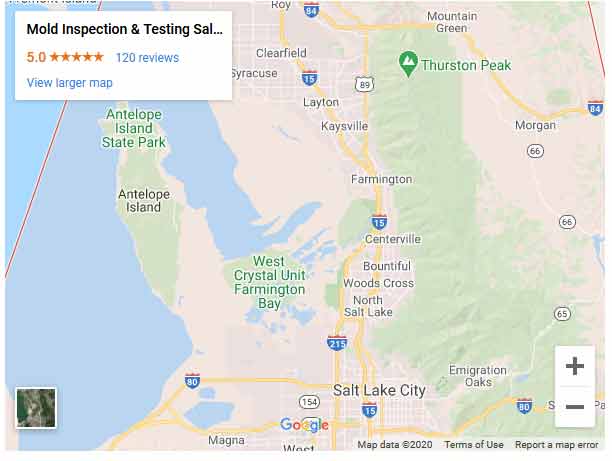 Mold Inspection in Salt Lake City, Utah · Green Home Air